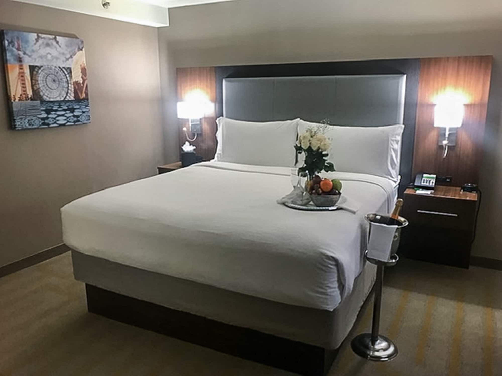 Holiday Inn Chicago Sw-Countryside Confctr By Ihg מראה חיצוני תמונה